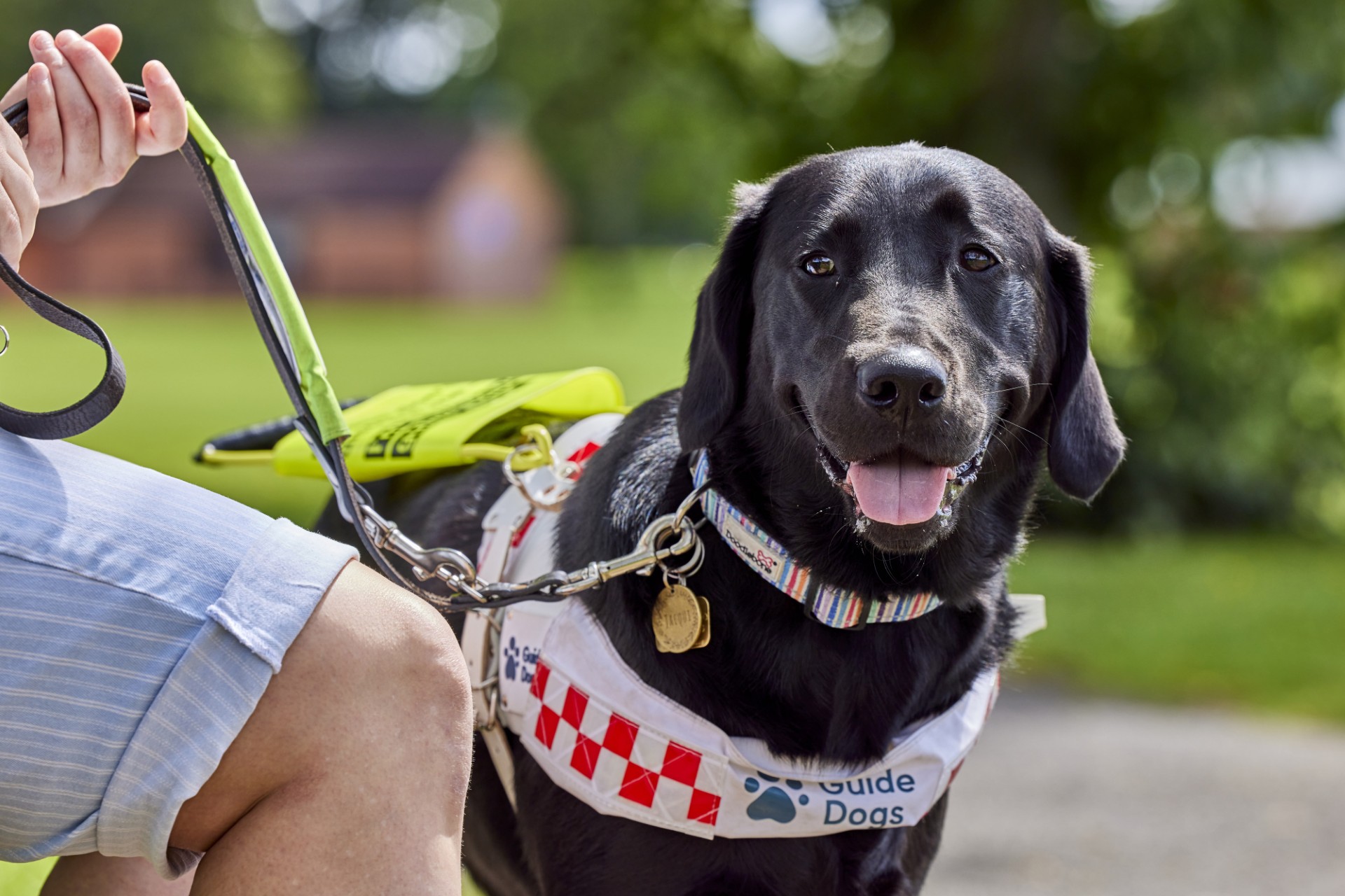 Guide Dogs UK supporting independence